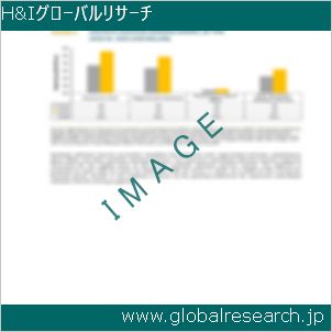 グローバルリサーチ調査レポートのイメージ
